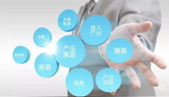 食品生產(chǎn)經(jīng)營(yíng)電子追溯系統(tǒng)及其信息系統(tǒng)運(yùn)行維護(hù)服務(wù)的關(guān)鍵要點(diǎn)